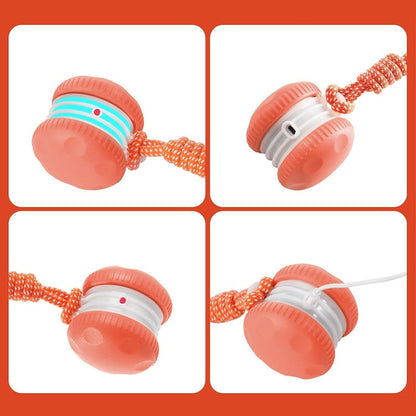 Keep Dogs Active, Engaged, and Happy All Day Long