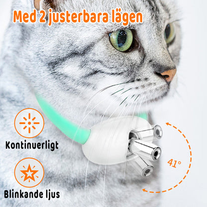 Buy One Get One Free | Keep Your Cat Active and Entertained All Day