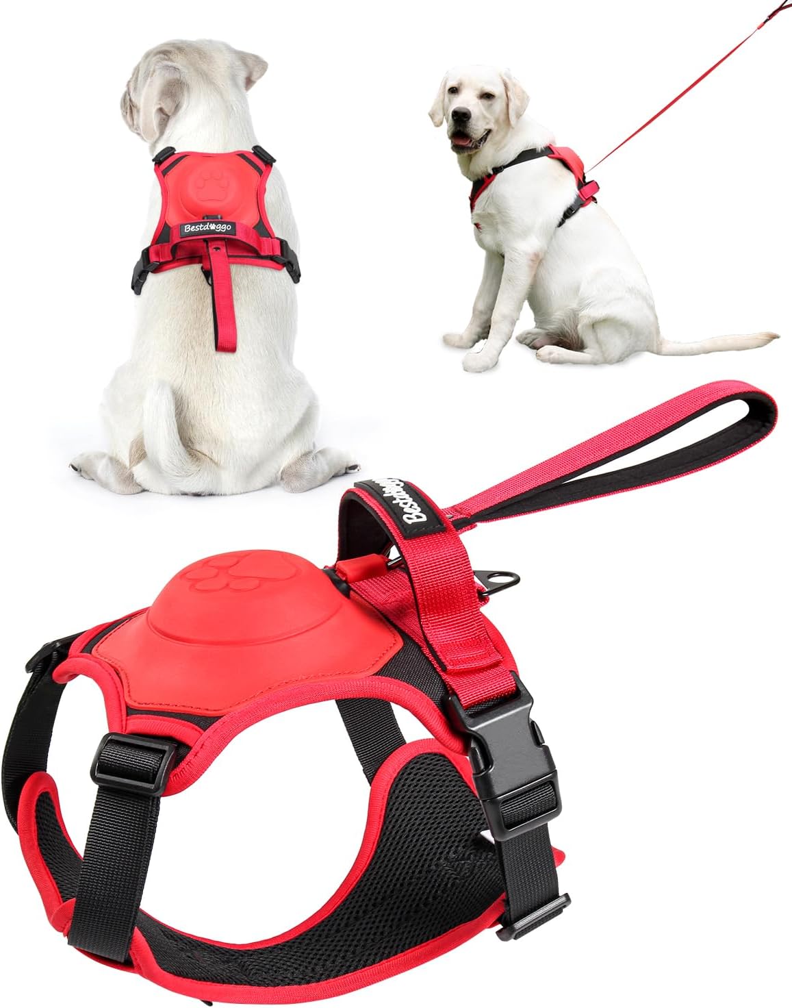 Dog Harness with Retractable Leash Set – All-in-One Solution