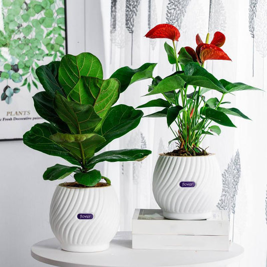 Effortless Moisture Control for Your Plants – GreenPlanter