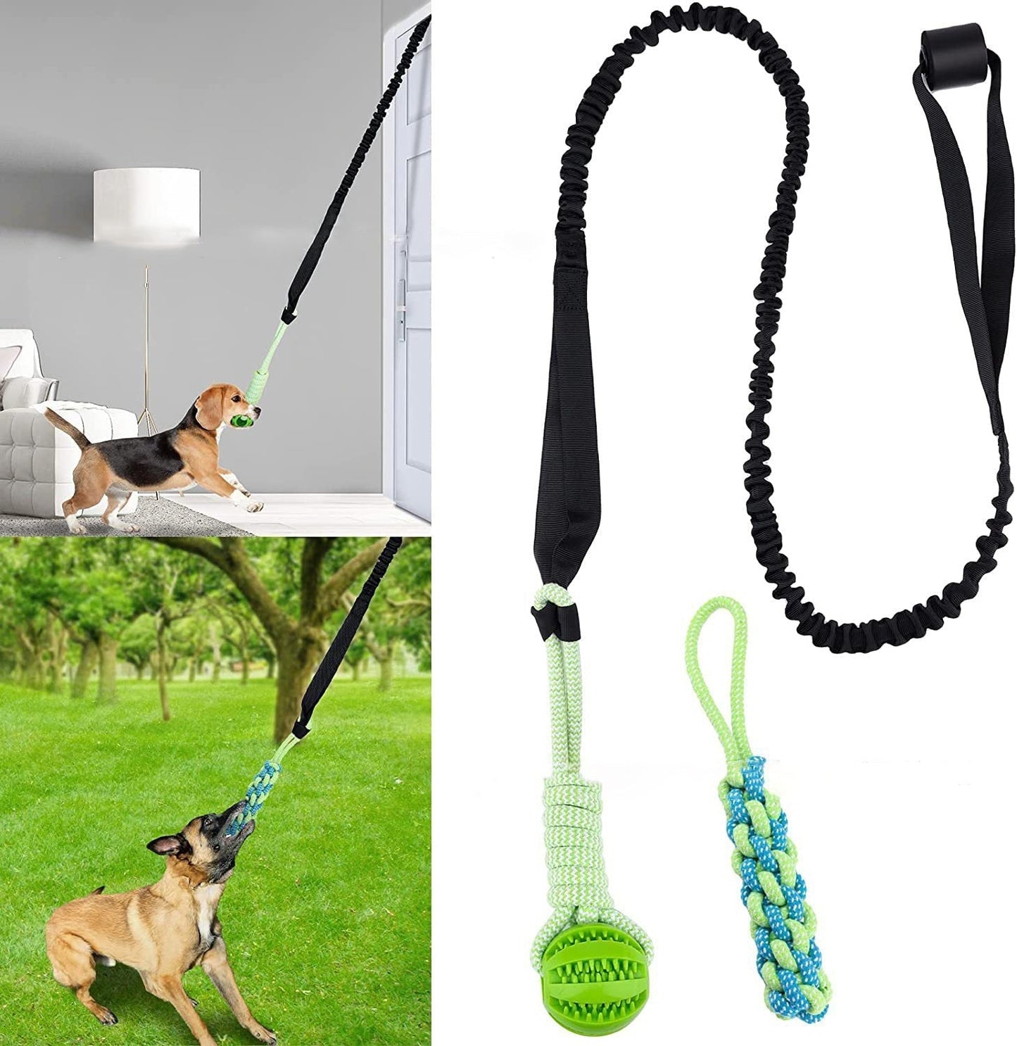 Endless Bouncing Fun for Your Dog - Springball Pro