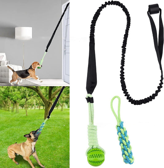 Endless Bouncing Fun for Your Dog - Springball Pro