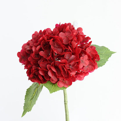 Forever Lively Flowers Without Maintenance - Hydrangea Decoration