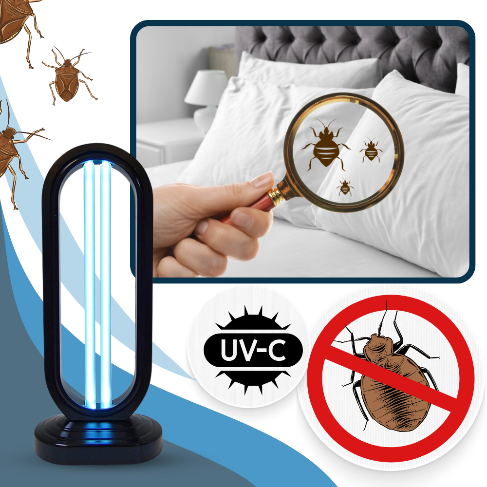 Rapid Bed Bug and Germ Elimination for a Safer Home