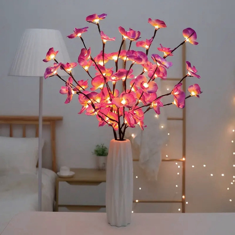 Transform Any Room with Warm, Enchanting Natural Light
