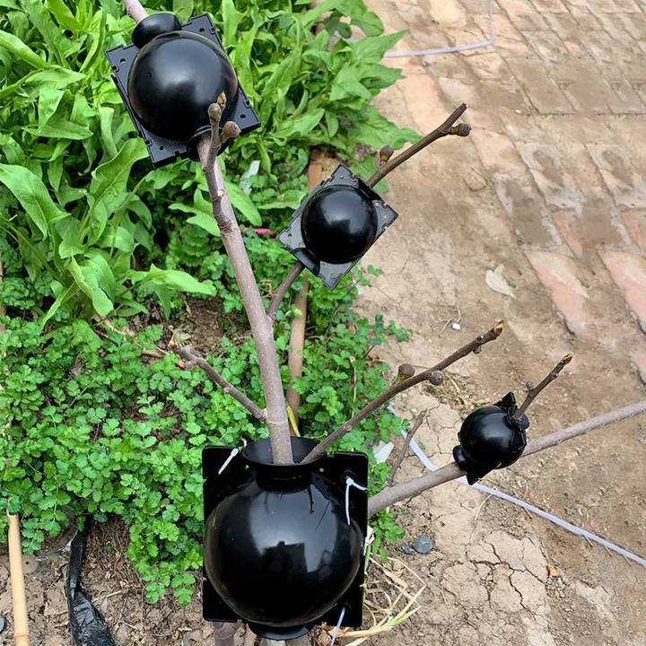 Plant Propagation Capsule for Air Layering