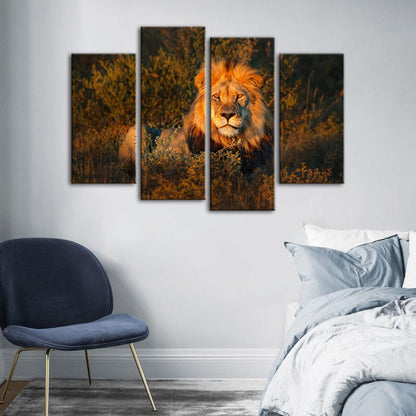 Majestic Sunset Lion - 4-Piece Canvas Artwork