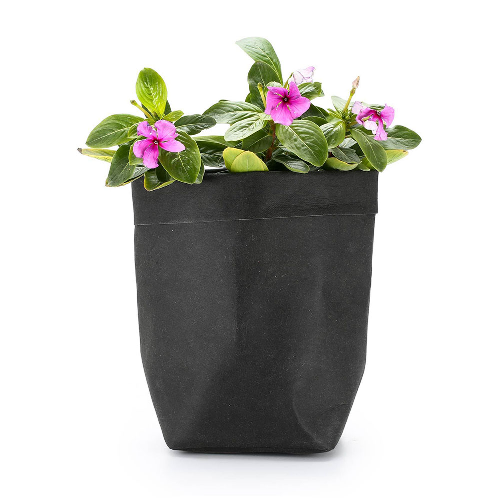 Collection of Eco-Friendly Decorative Planters
