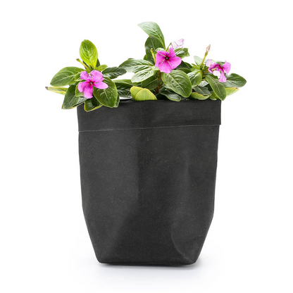 Collection of Eco-Friendly Decorative Planters