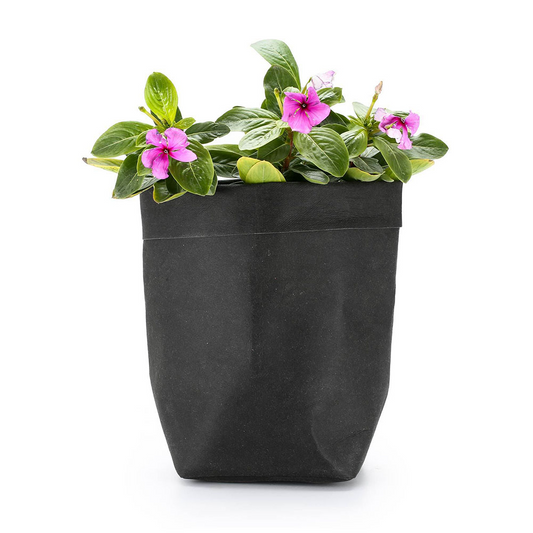 Collection of Eco-Friendly Decorative Planters