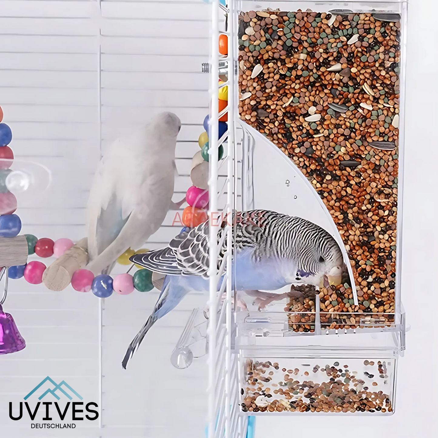 Bird Feeder – Clean Feeding, Happy Birds, Reduced Effort