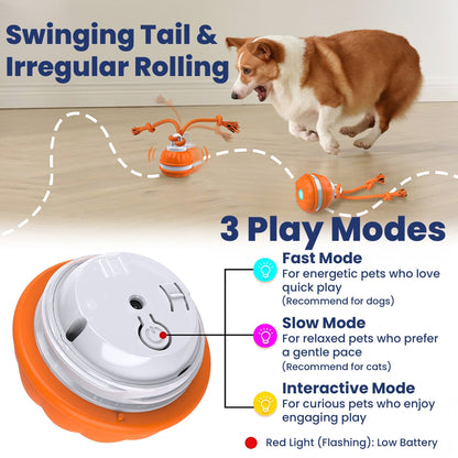 PawiBall – Keep Your Dog Happy and Engaged!