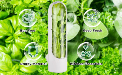 Buy One Get One Free | Fresh Storage Container for Vegetables and Herbs