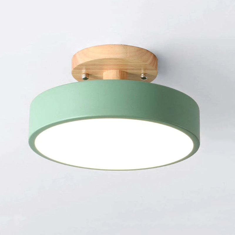 Contemporary LED Ceiling Light Fixture