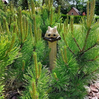 Charming Garden Decoration with Personality - Fun Design