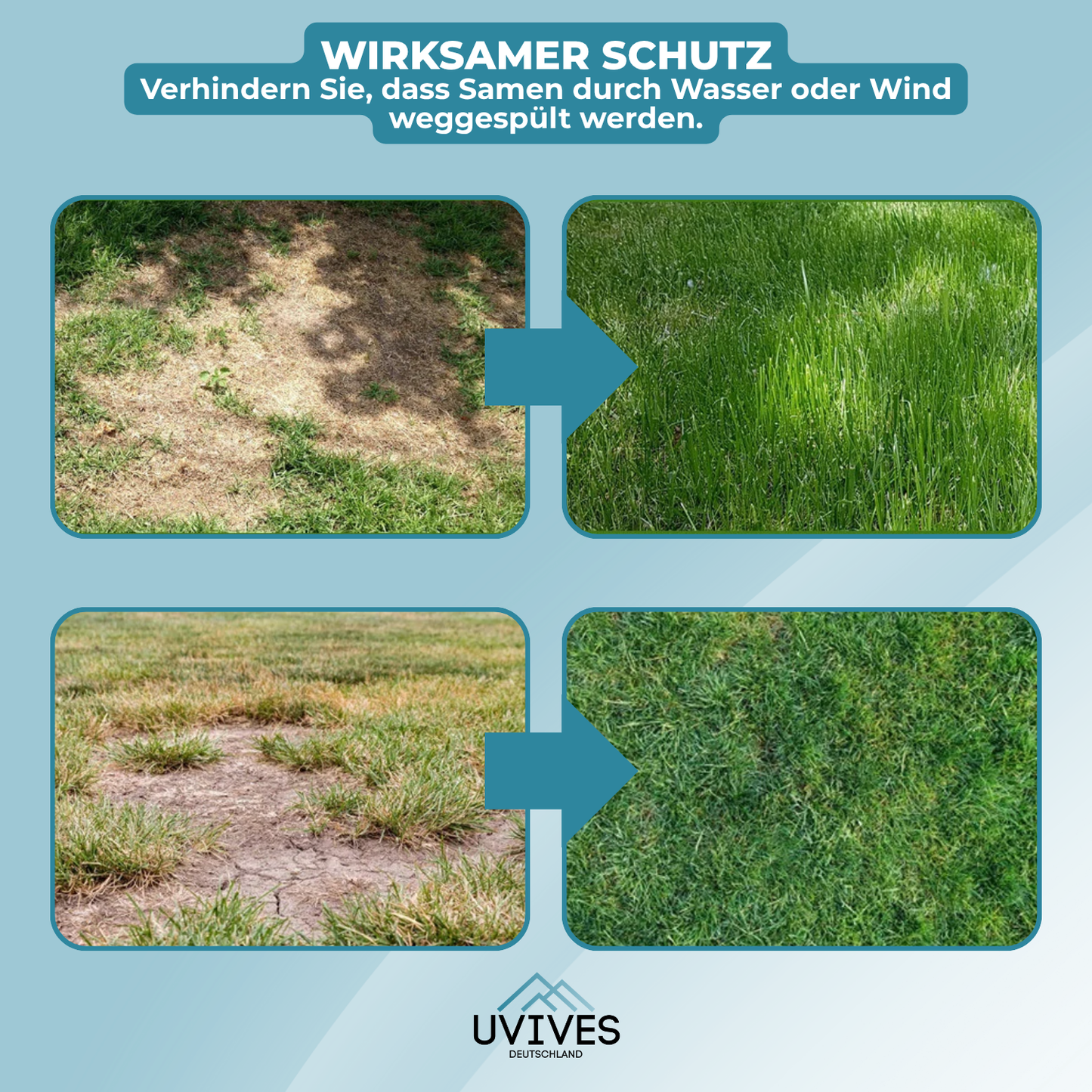 Buy One Get One Free | Easy Care Green Lawn Solution