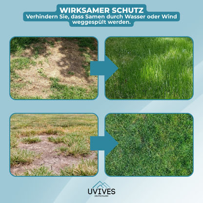 Buy One Get One Free | Easy Care Green Lawn Solution