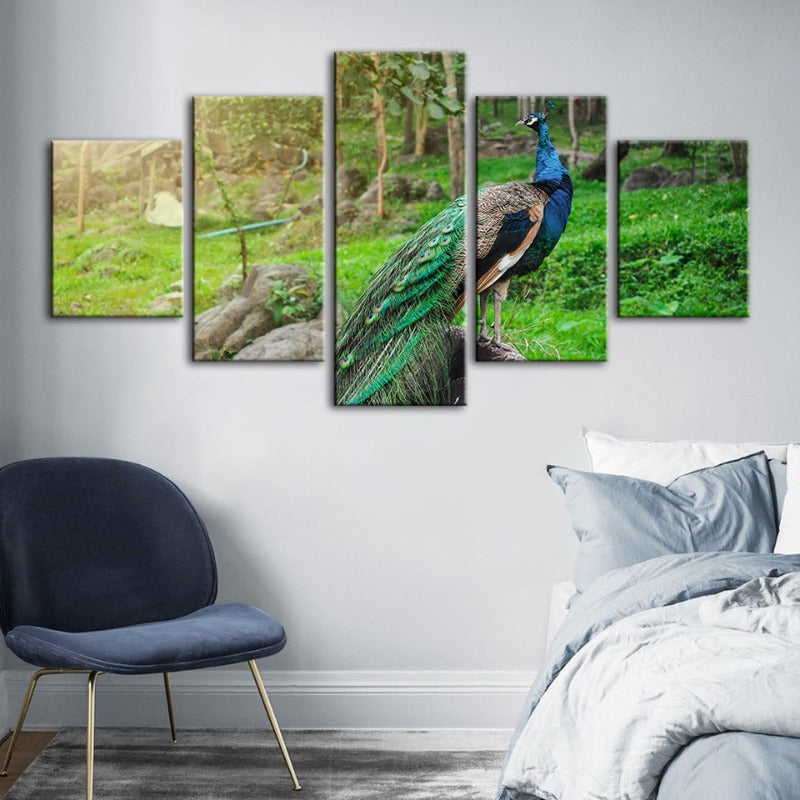 5-Piece Radiant Peacock Canvas Art Set