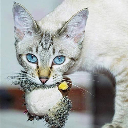 Interactive Chirping Bird Toy for Cats