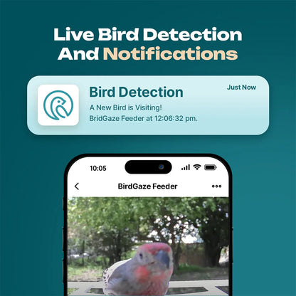 Smart Bird Feeder – Experience Nature Like Never Before