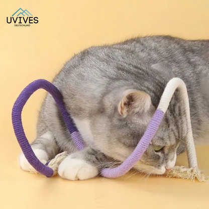Keep Your Cat Happy and Active while Maintaining Dental Health