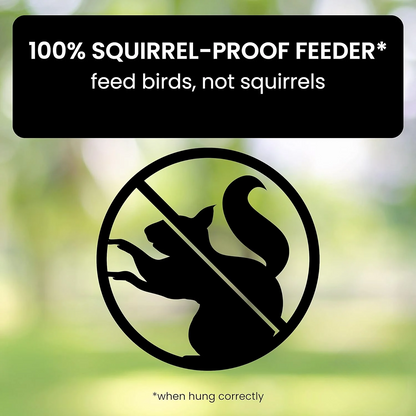 Squirrel-Proof Hanging Bird Feeder for Garden with Rotating Perch