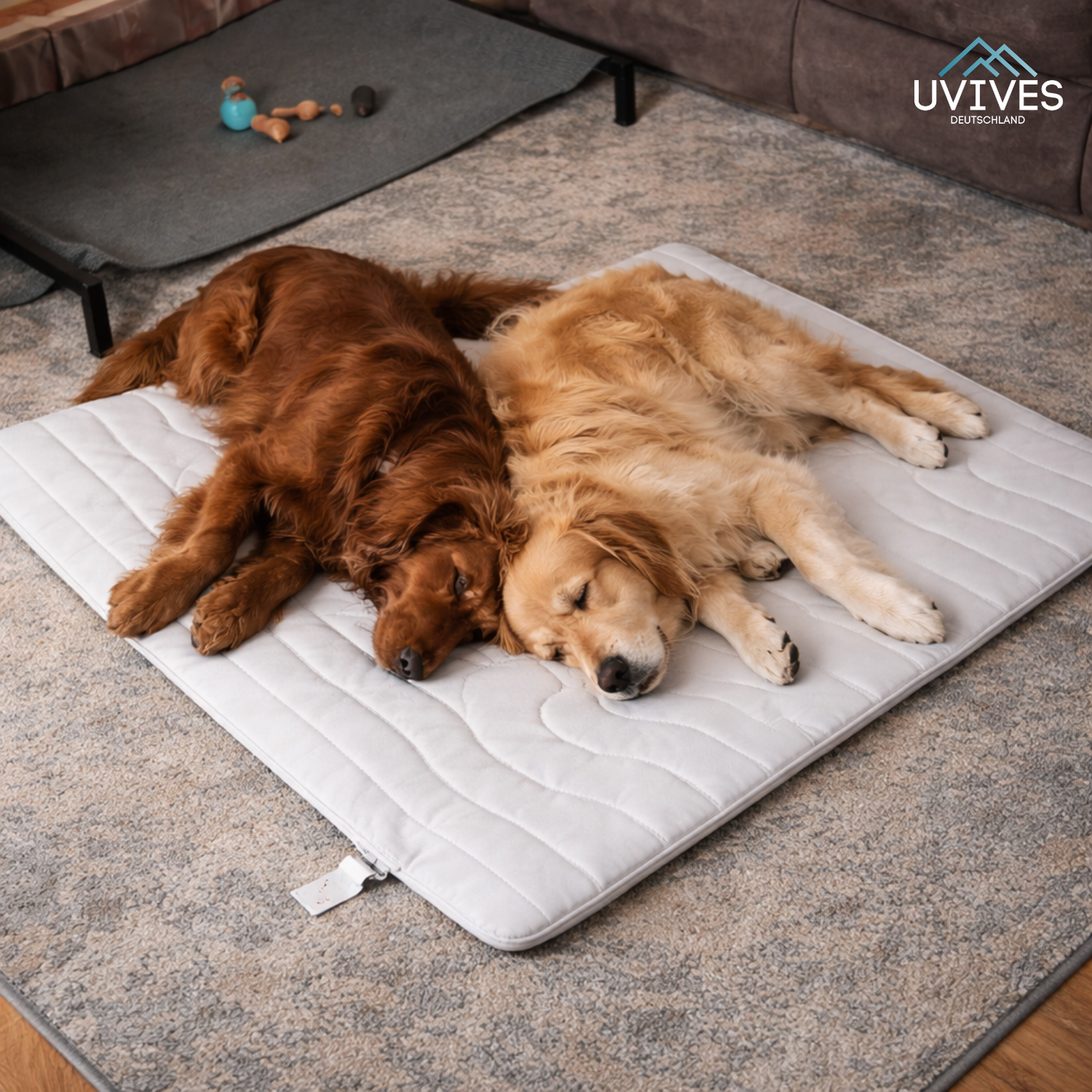 Instant Cooling Solution for Your Dog Anywhere