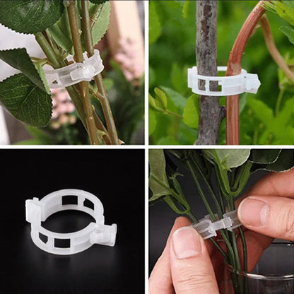 Support Clips for Healthy Plant Growth