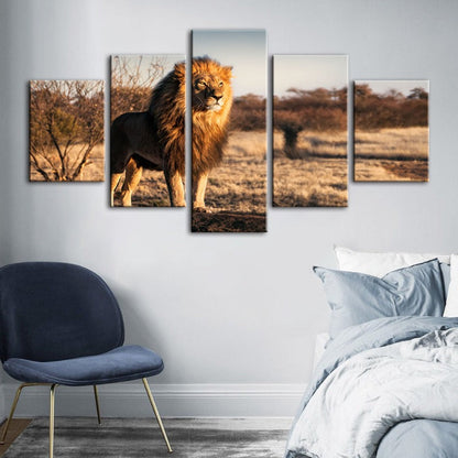 Majestic Lion in Sunlight - 5 Piece Canvas Art Set