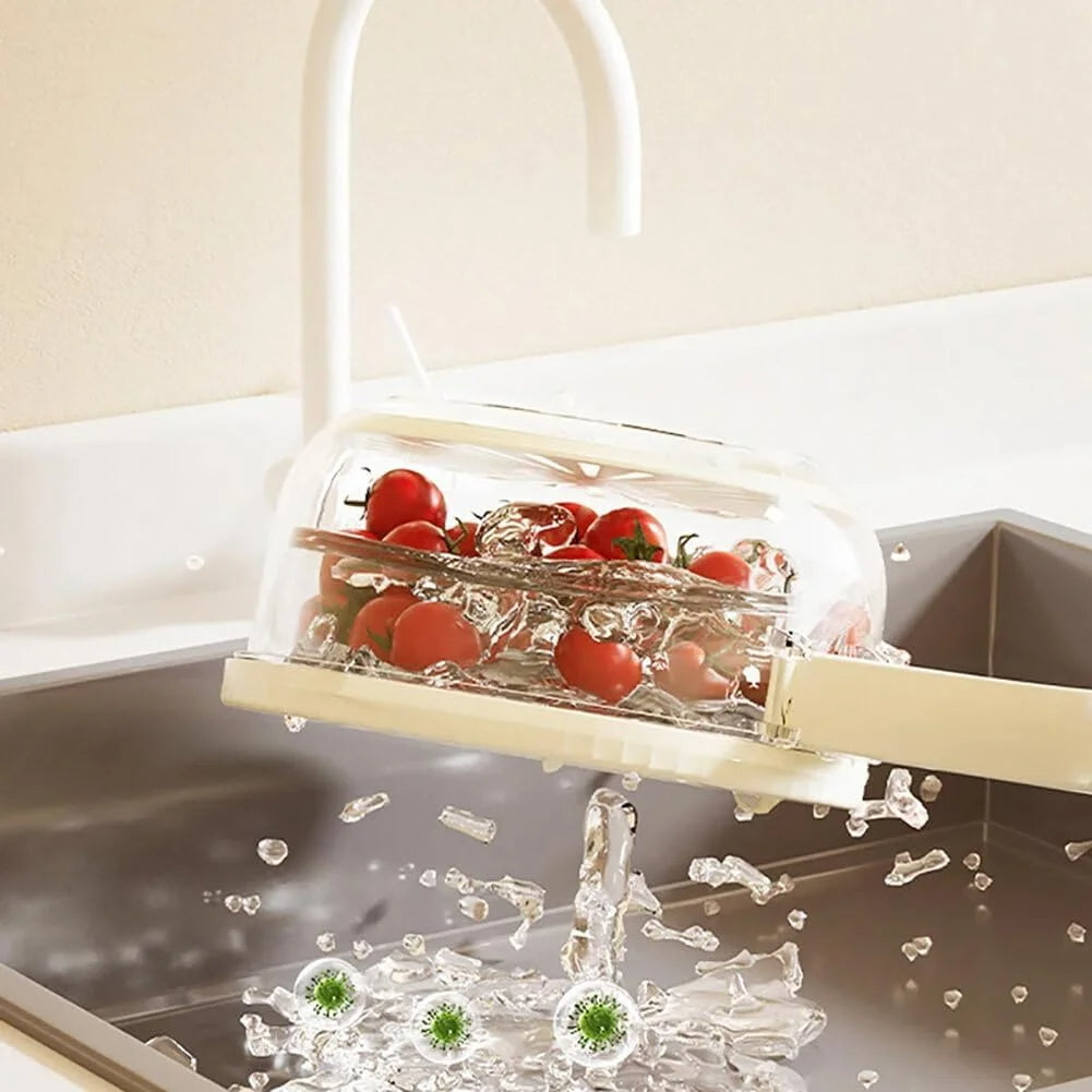 Storage Container for Fruits and Vegetables to Maintain Freshness