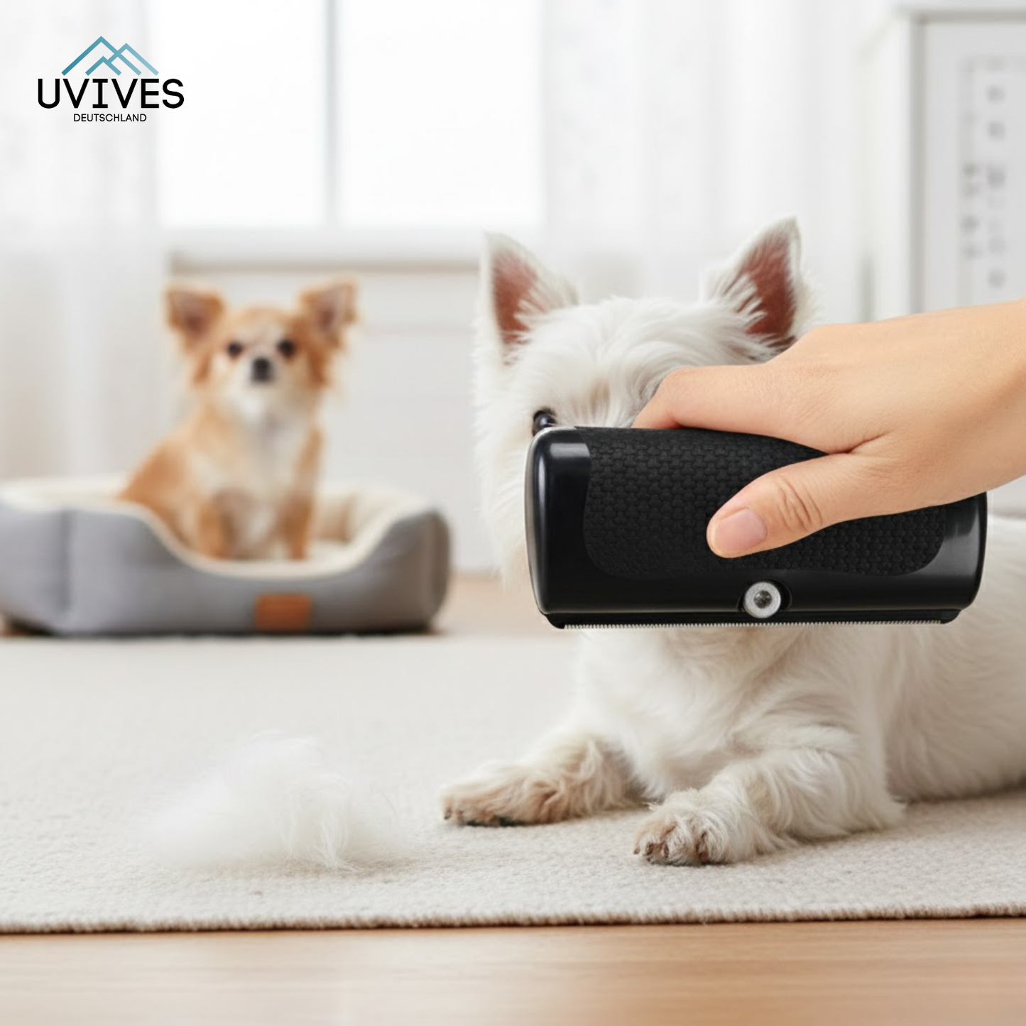 Buy One Get One Free | FurMaster – For a Clean, Shiny & Happy Pet