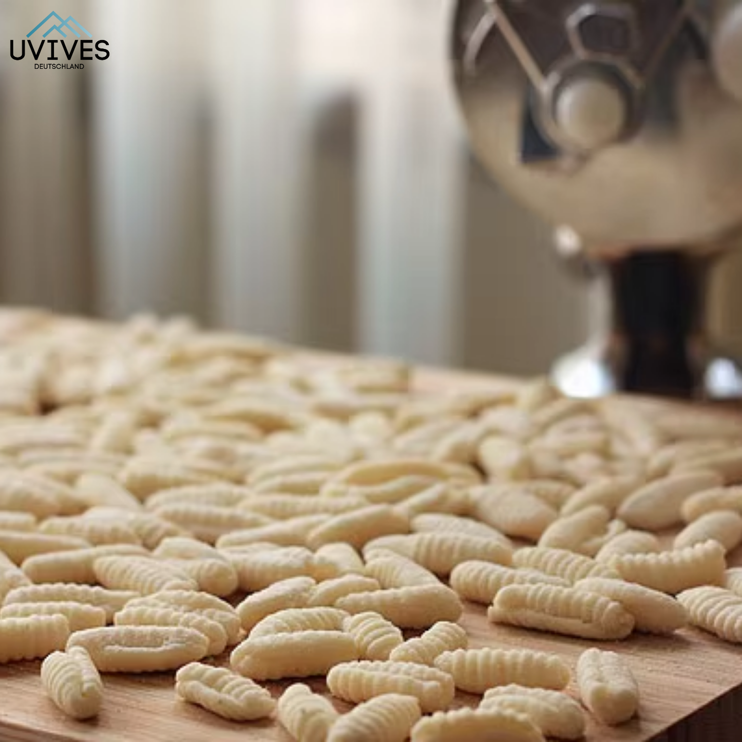 Effortless Fresh Pasta Maker