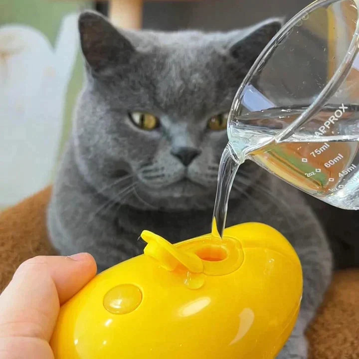Self-Cleaning Steam Cat Brush with 50% Discount – Last Day Sale