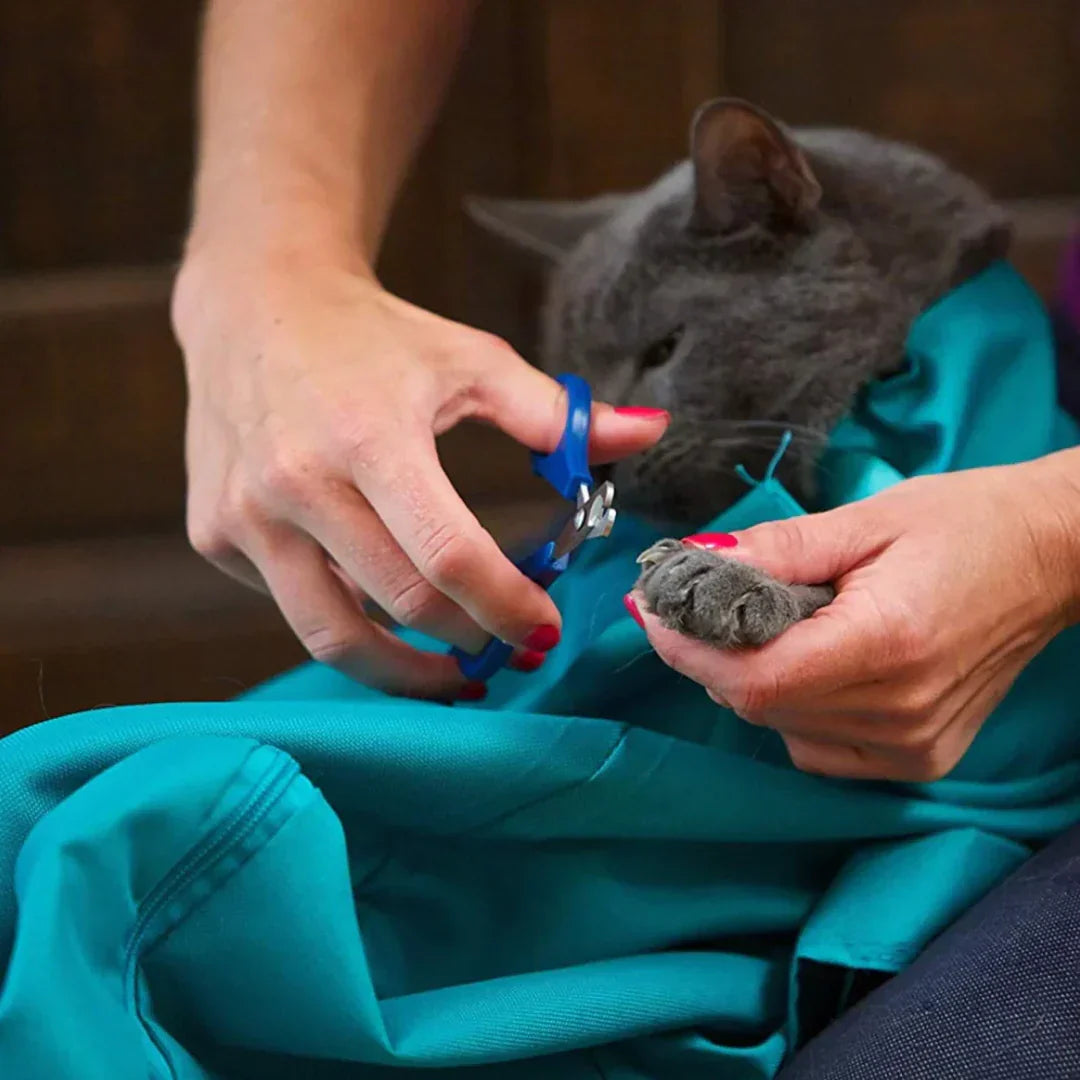 Travel and Care Bag for Cats