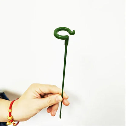 Elegant Stem Support for Thriving Plants