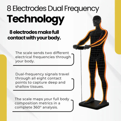 Smart Body Composition Scale with 8 Electrodes, Wi-Fi & Bluetooth, 400 lb Capacity