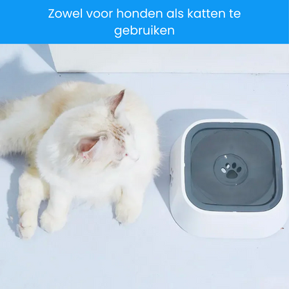 Splash-Free Drinking Bowl for Your Four-Legged Companion