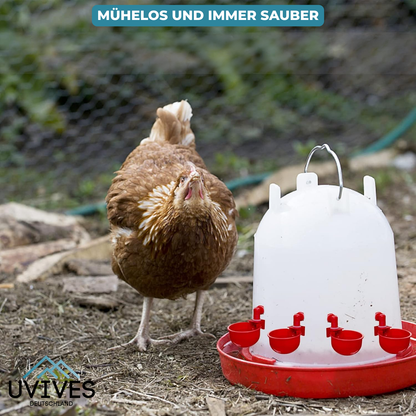 3 for 3 FREE | AquaNest – Clean Water for Happy Pets