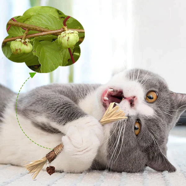 Whisker Wellness Chew Stick: Fun Meets Dental Care for Cats
