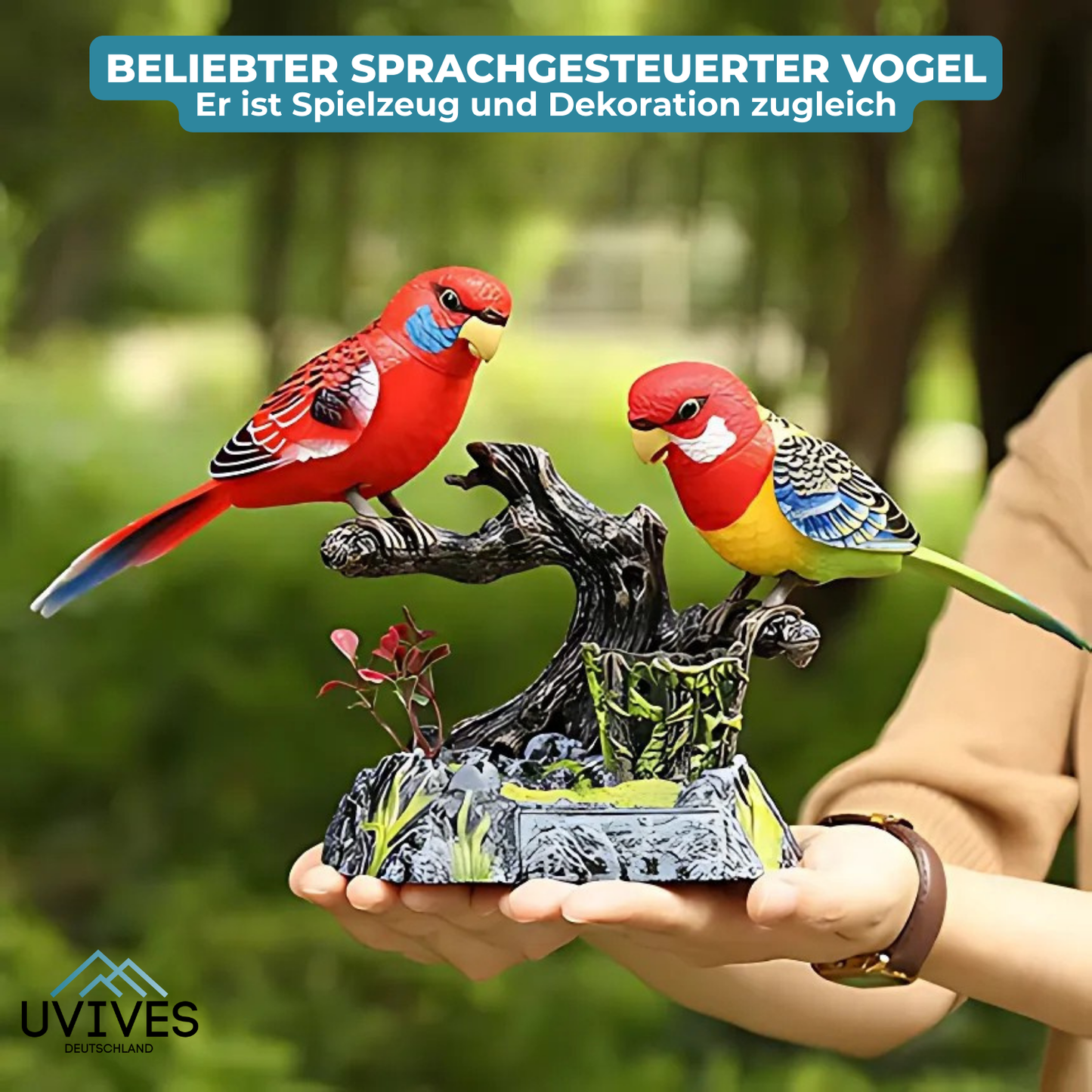 Talking Parrot for a Lively Spring Garden
