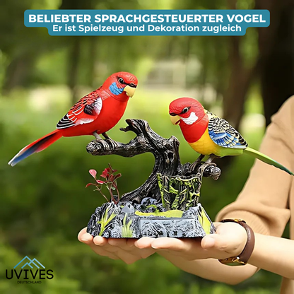 Talking Parrot for a Lively Spring Garden