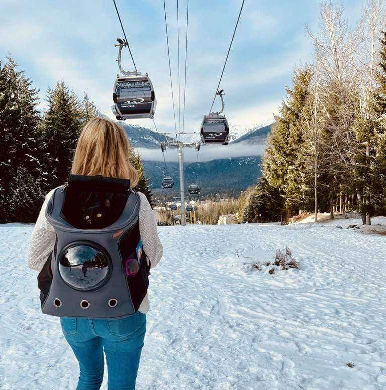 Cat Carrier Backpack with Bubble Window – Roomy and Comfortable Design