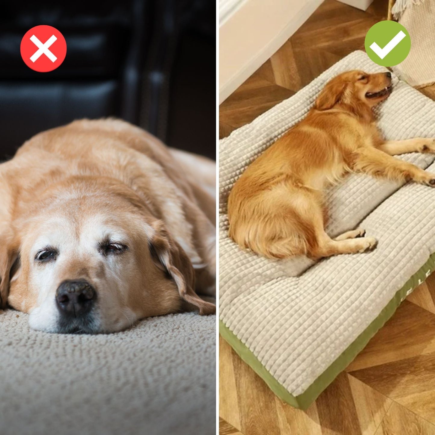 Luxury Dog Bed – Durable Foam, Removable Cover, and Ideal Support