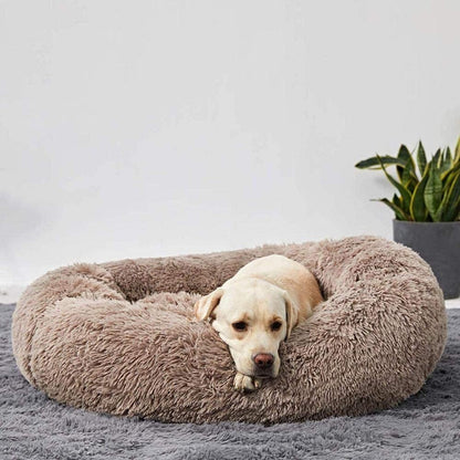 Dog Bed for Relaxation and Comfort