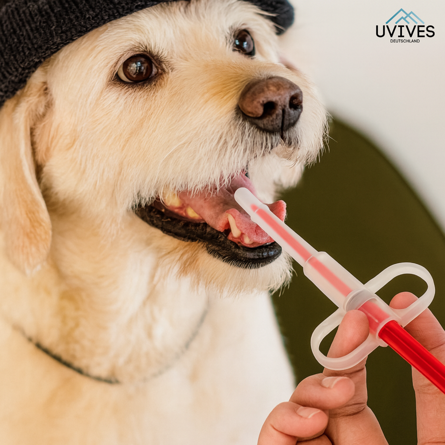 Buy One Get One Free | Pro Pet Feeder – Easy Medication Administration for Pets!