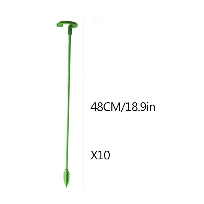 Elegant Stem Support for Thriving Plants