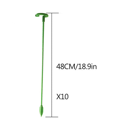 Elegant Stem Support for Thriving Plants