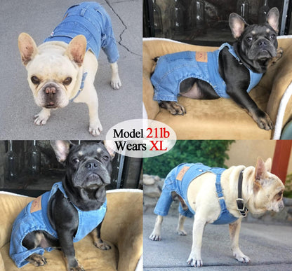 Lightweight Summer Jumpsuit for Pets – Stay Cool & Stylish