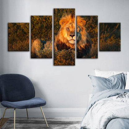 Majestic Lion Canvas Art Set - 5 Pieces for Home Decor