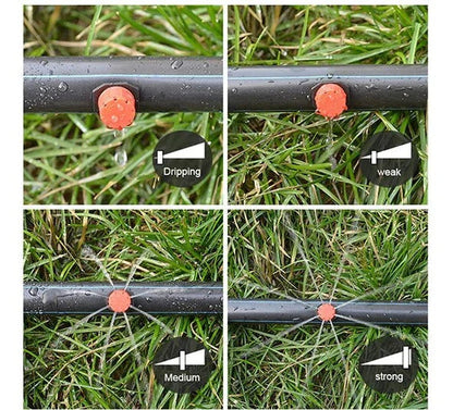 Precision Plant Irrigation System - AquaFlow Sprinkler and Dripper